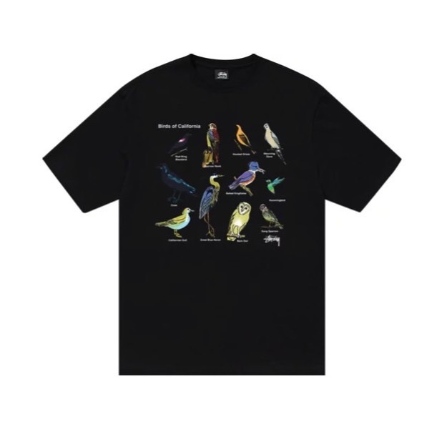 STÜSSY CALIFORNIA BIRDS TEE