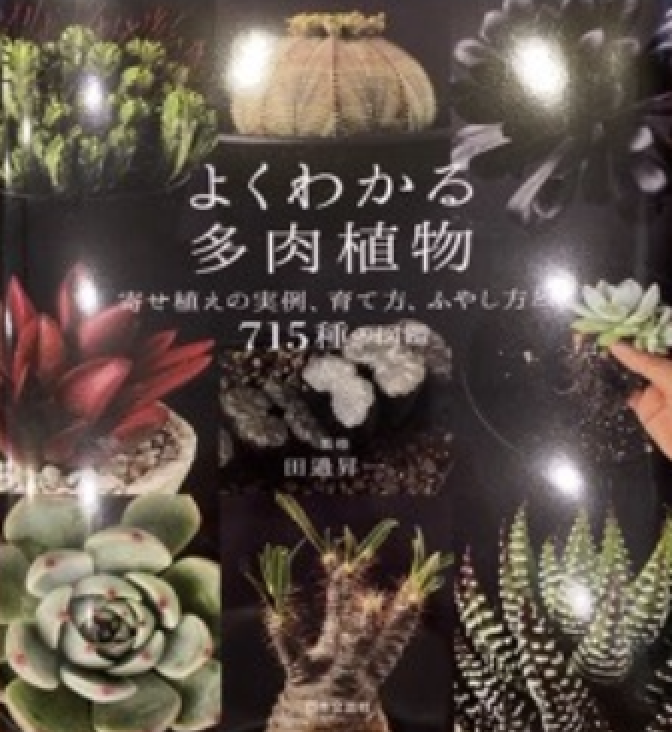 715種的圖鑑