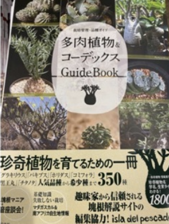 多肉植物 栽培管理