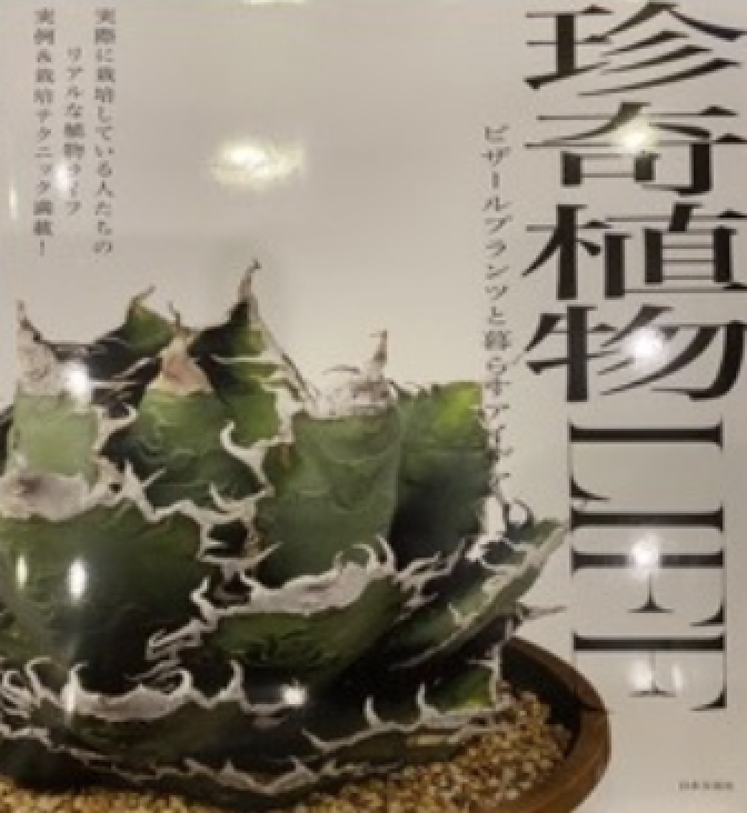 珍奇植物 LIFE